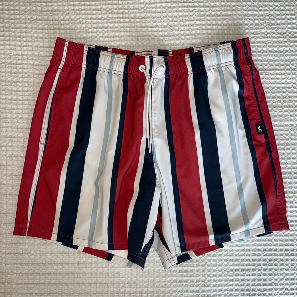 Hollister Men's Bold Striped Swim Trunks (w/ liner) - Red, White, and Blue